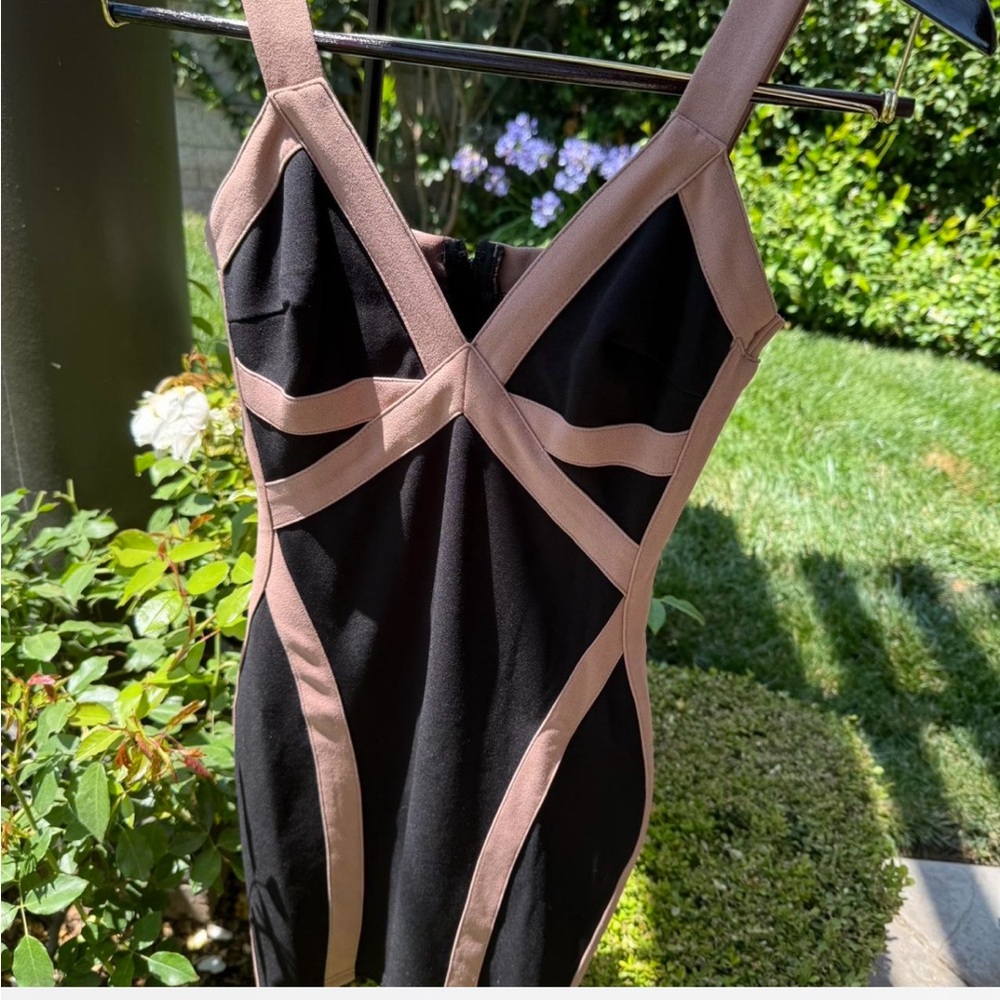 Windsor Brown and Black Dress